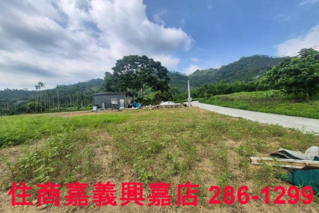 嘉義番路農地-6