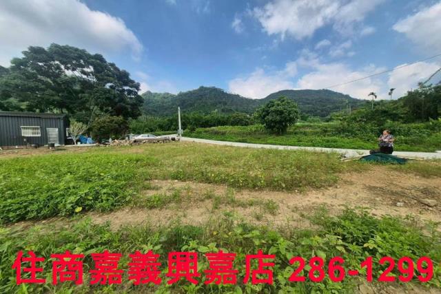 嘉義番路農地-7