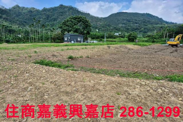 嘉義番路農地-8