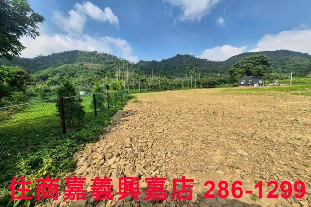 嘉義番路農地-9