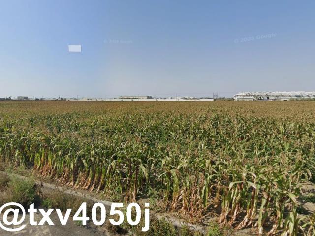 鹽水農地-1
