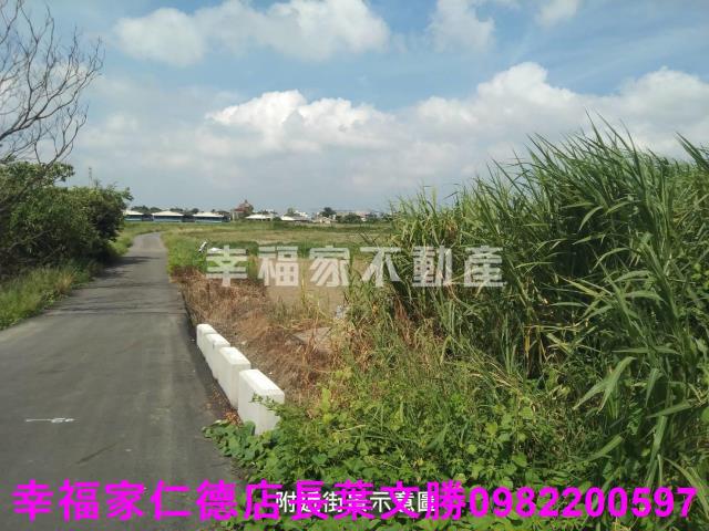 佳里農地-11