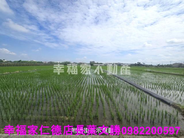 柳營農地-3