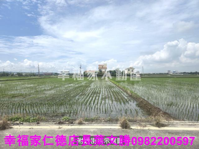 柳營農地-4