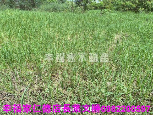 永康農地-3