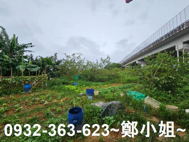 桃園區農地-6