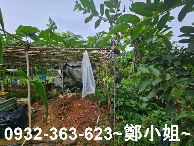 桃園區農地-8
