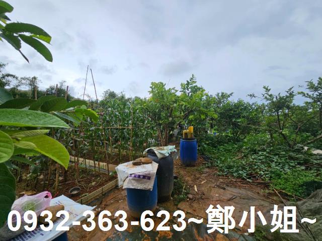 桃園區農地-9