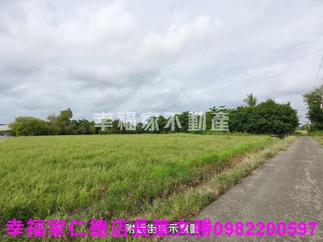 台南善化農地-1