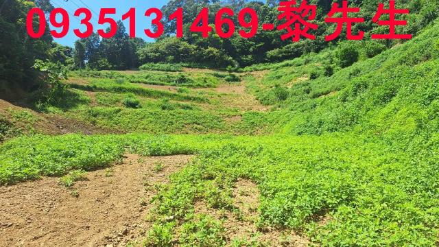 峨眉農地-12