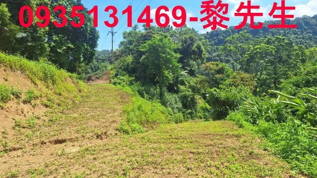 峨眉農地-14