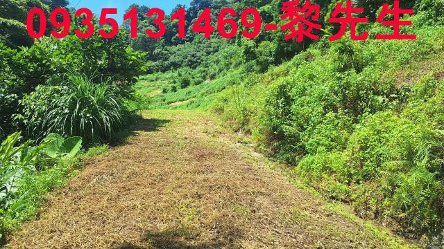 峨眉農地-15
