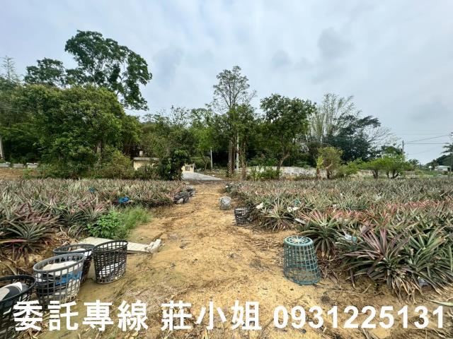 關廟農地-6