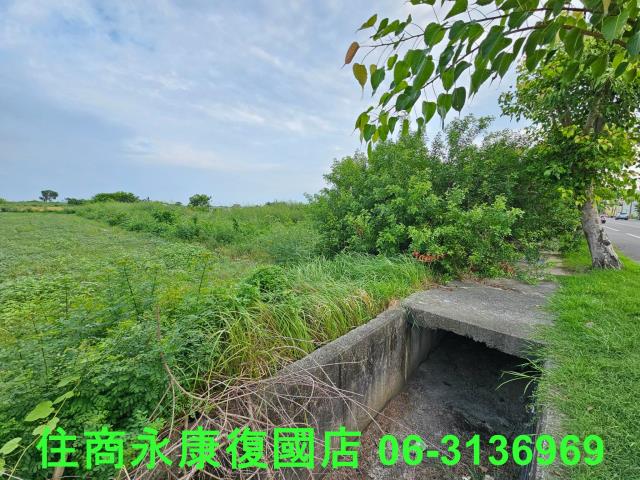 台南七股農地-7