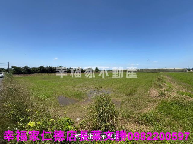 台南新市農地-9