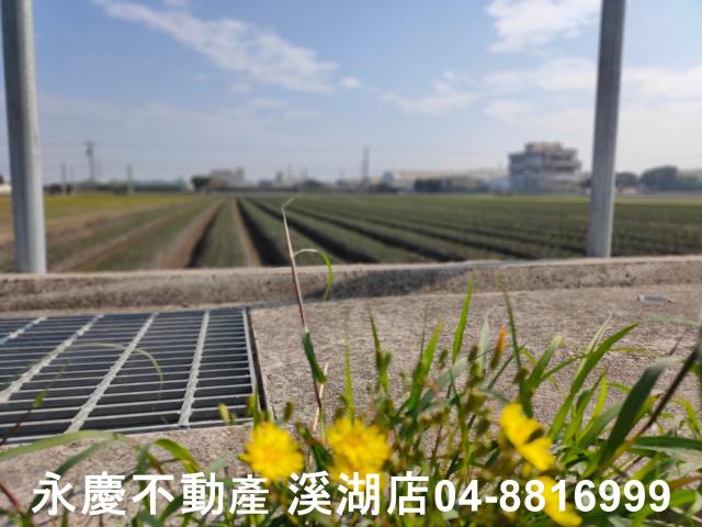 彰化農地-1