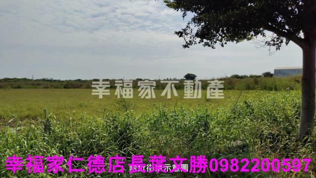 台南七股農地-15