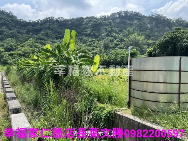 台南農地-3