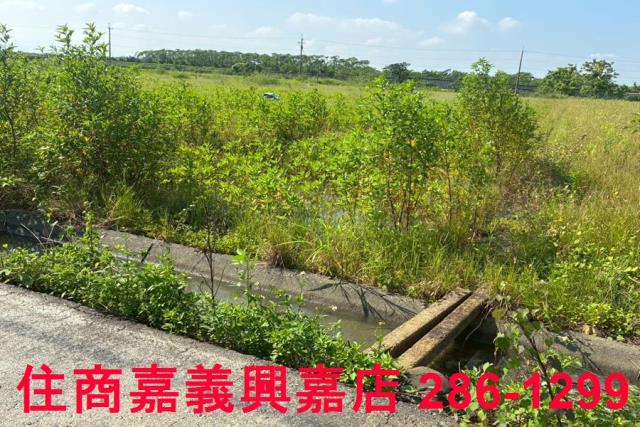 嘉義鹿草農地-6