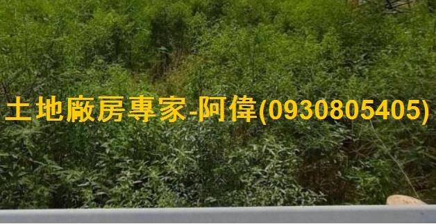 高雄大寮農地-1