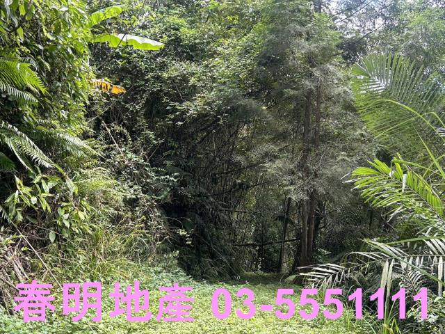 新竹橫山農地-1