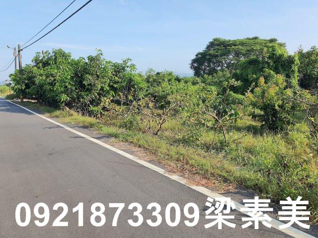 玉井農地-4