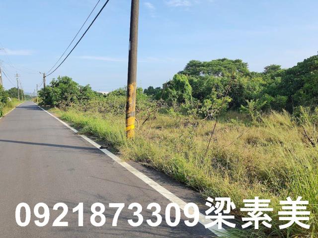 玉井農地-5