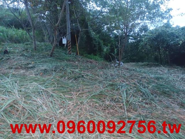 尖石農地-2