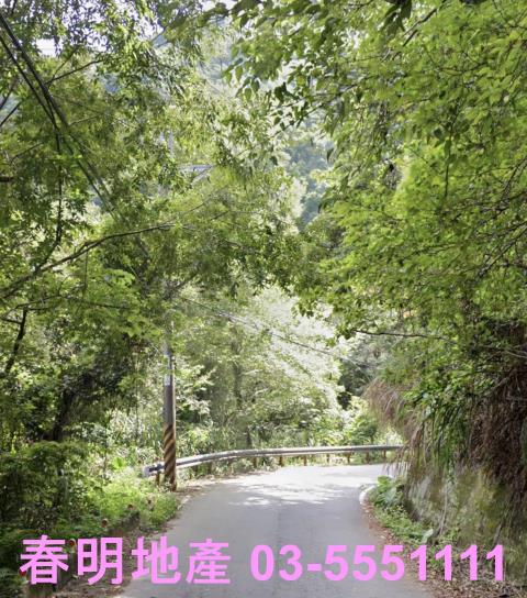 尖石林地-1