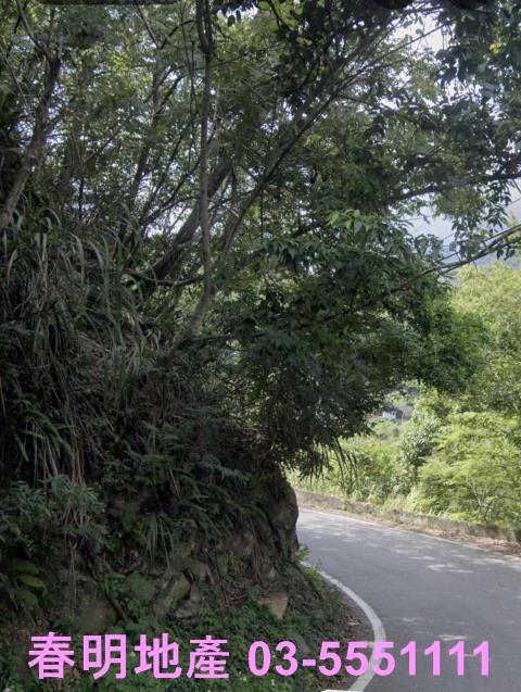 尖石林地-2