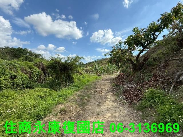 台南農地-2