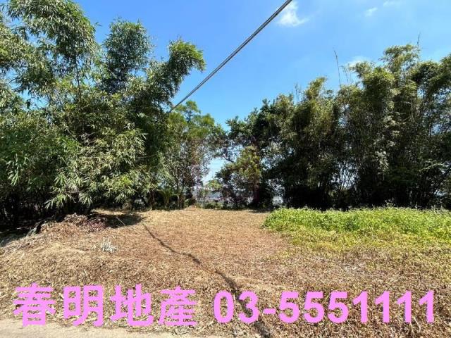新竹竹東道路地-10