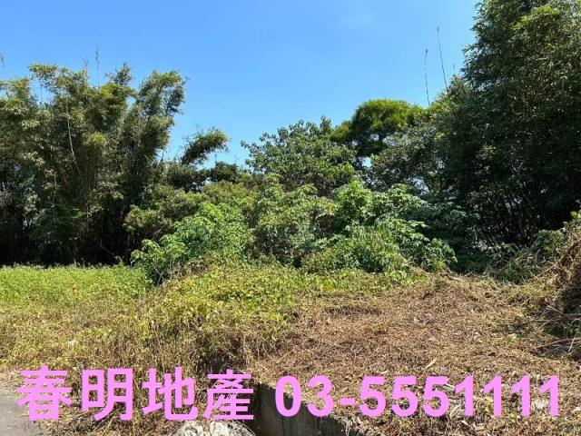 新竹竹東道路地-9