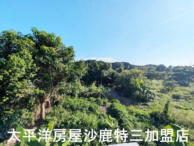 台中沙鹿建地-6