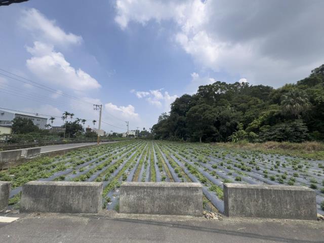 苗栗公館福星農地出售