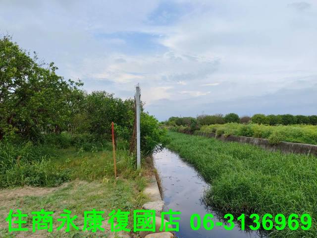 台南佳里農地-5
