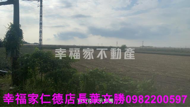 新市農地-10