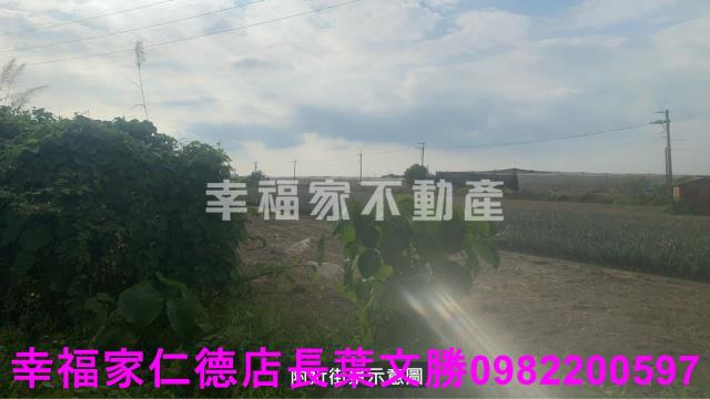 新市農地-5