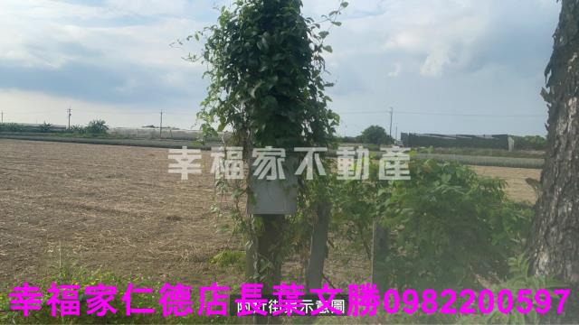 新市農地-7