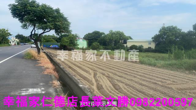 新市農地-12
