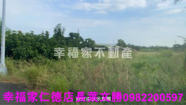新市農地-1