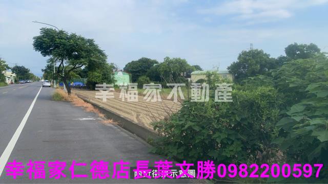 新市農地-6