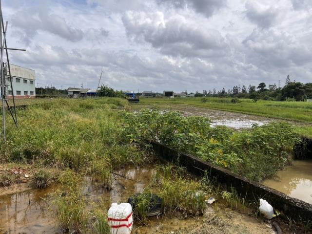 新化農地-2