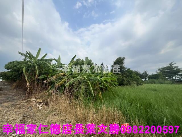 台南新化農地-14