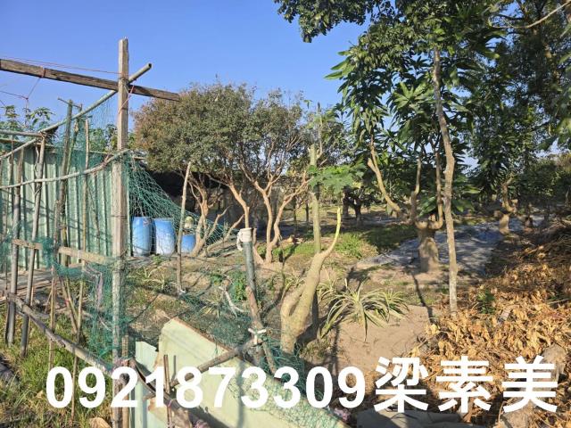 善化農地-6
