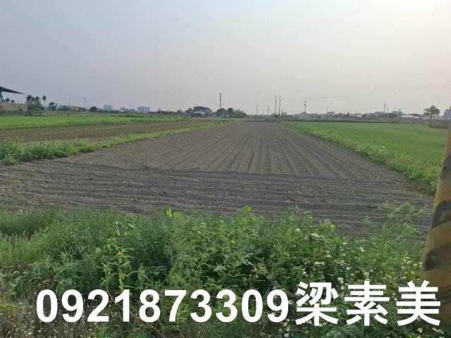 台南善化農地-5
