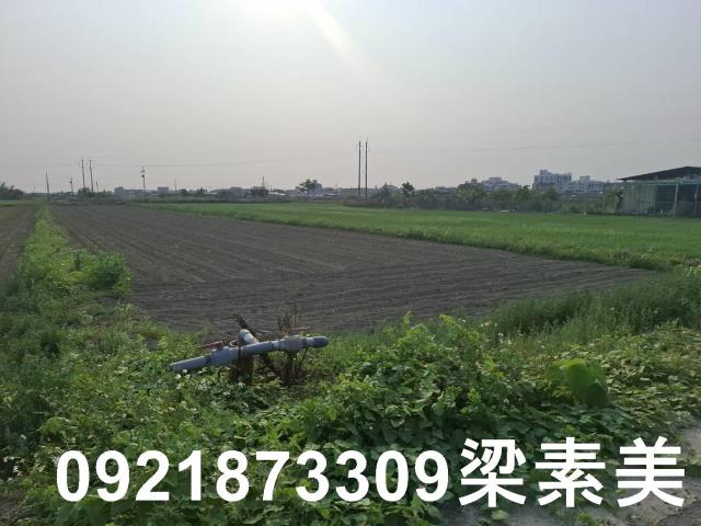 台南善化農地-8