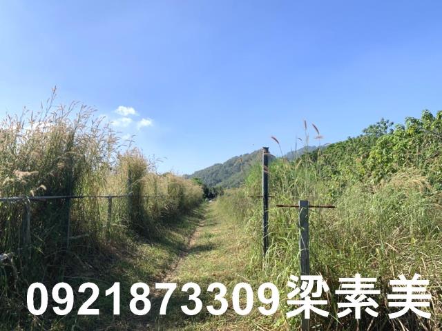 楠西農地-9