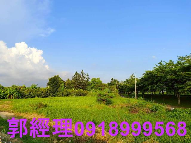 新化農地-3