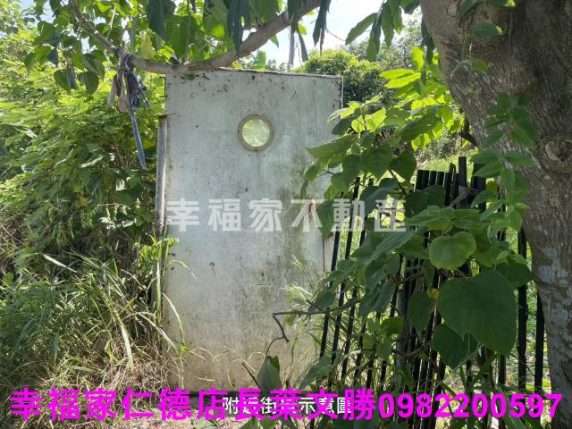 麻豆農地-10